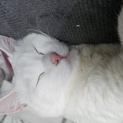 Yesol의 포트폴리오