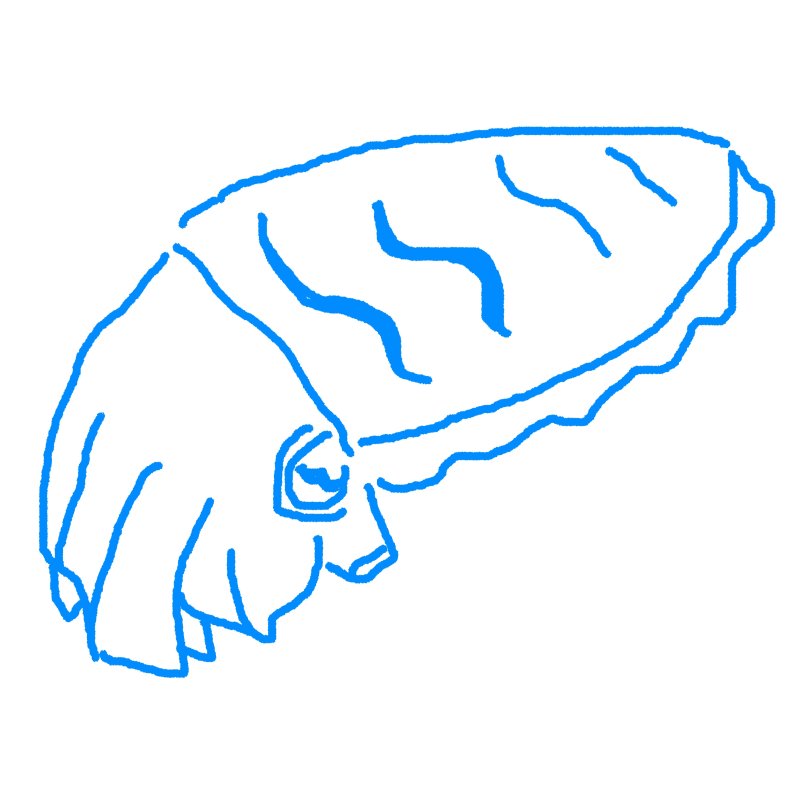 로보마우스의 포트폴리오